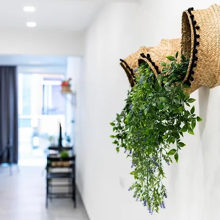 Inadan By Canariasgetaway * 大加那利岛拉斯帕尔马斯